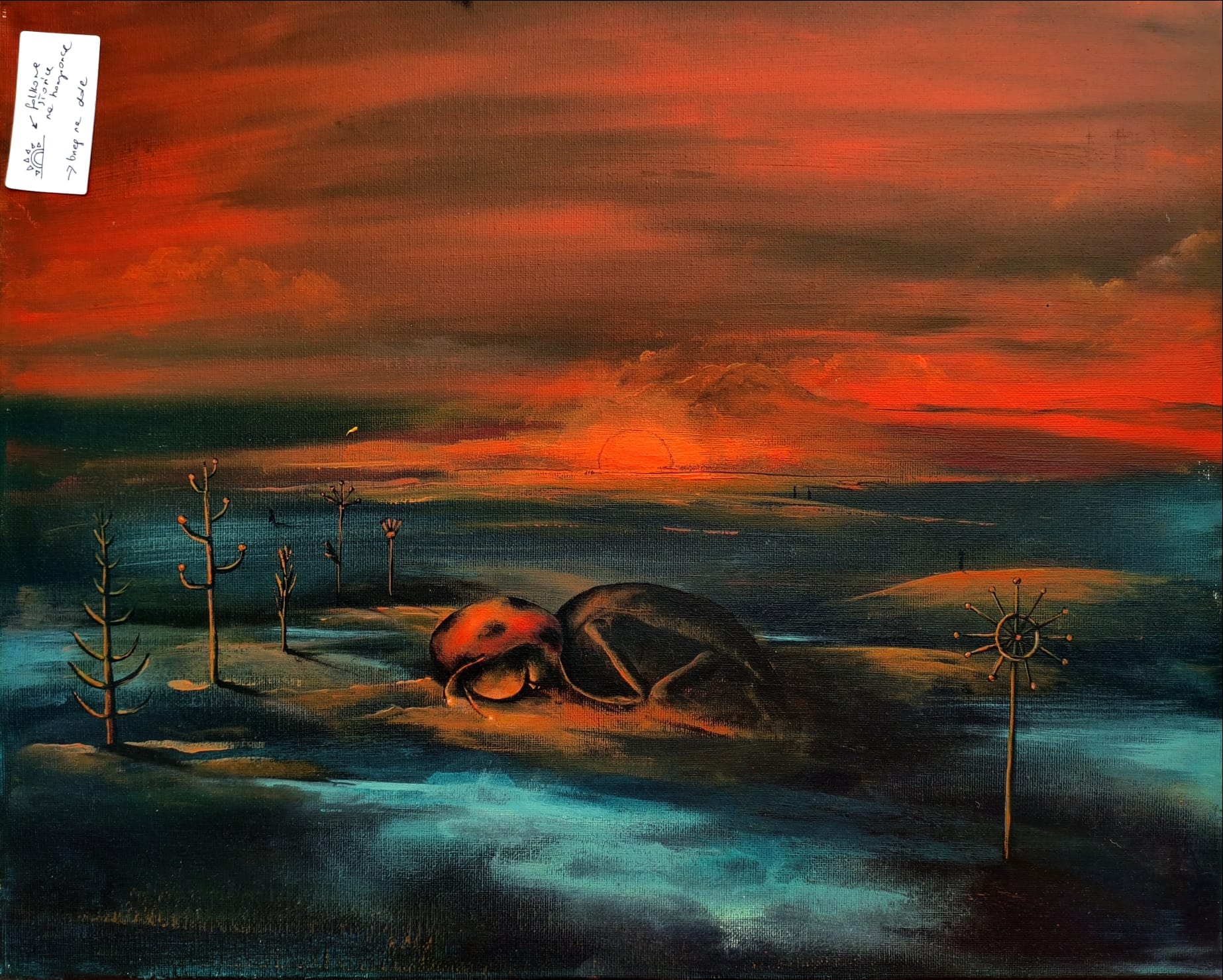 surrealistyczny obraz biedronki krajobraz czerwone niebo zachód słońca woda i formy
